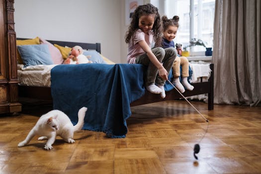 cat playing with interactive toy