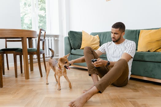 dog and owner playing tug-of-war